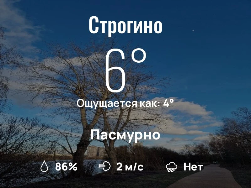 Что с погодой в Строгино?