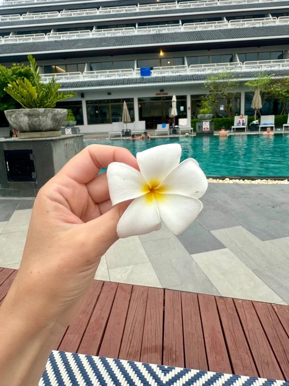 🇹🇭 Таиланд уже открыт для бронирования на зиму