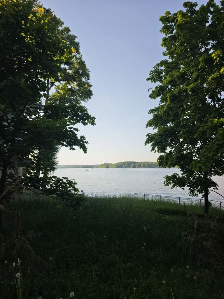 Подмосковье особенно прекрасно летом!