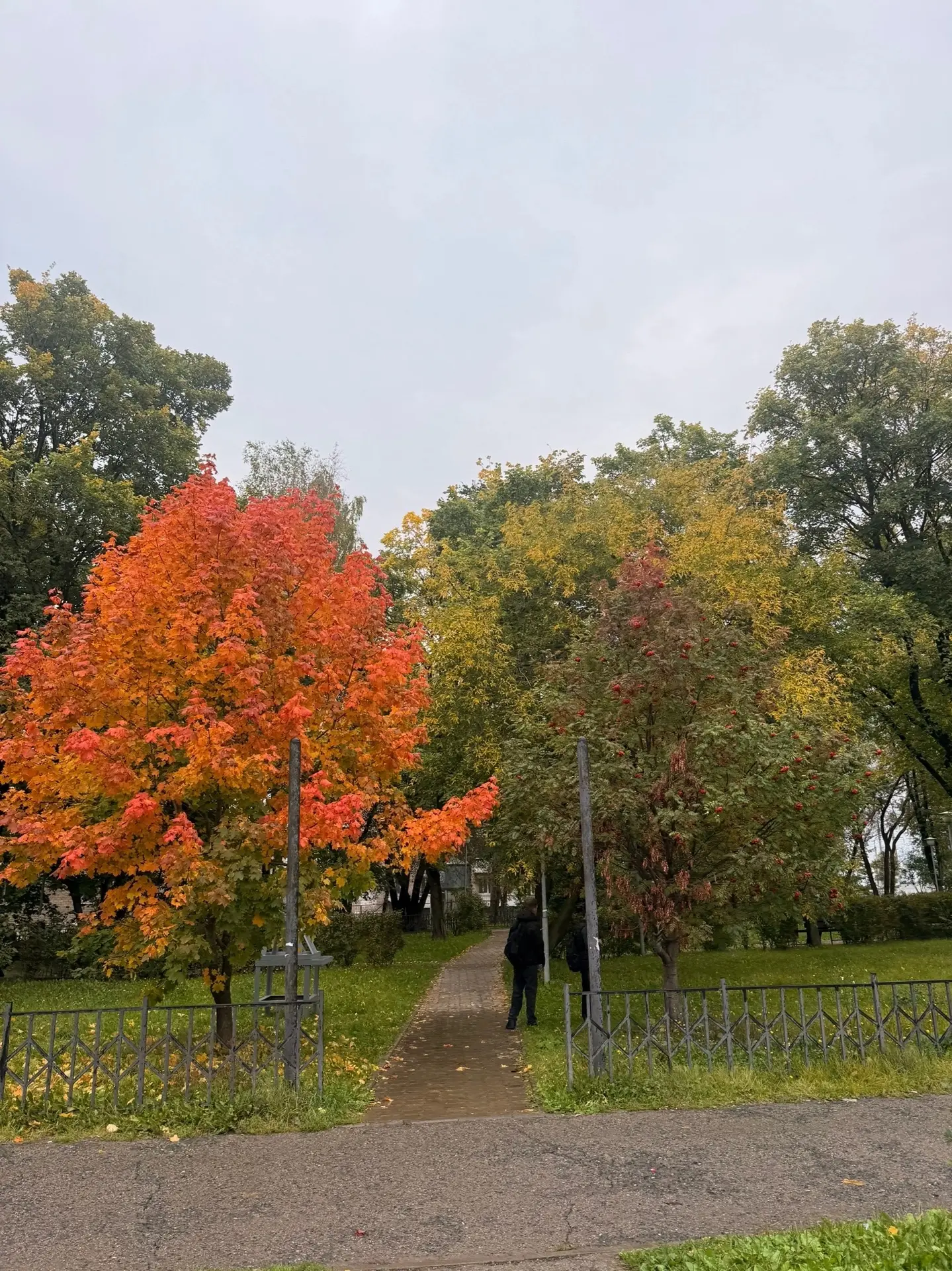 Местами в Перми уже разноцветные деревья🍁🍂