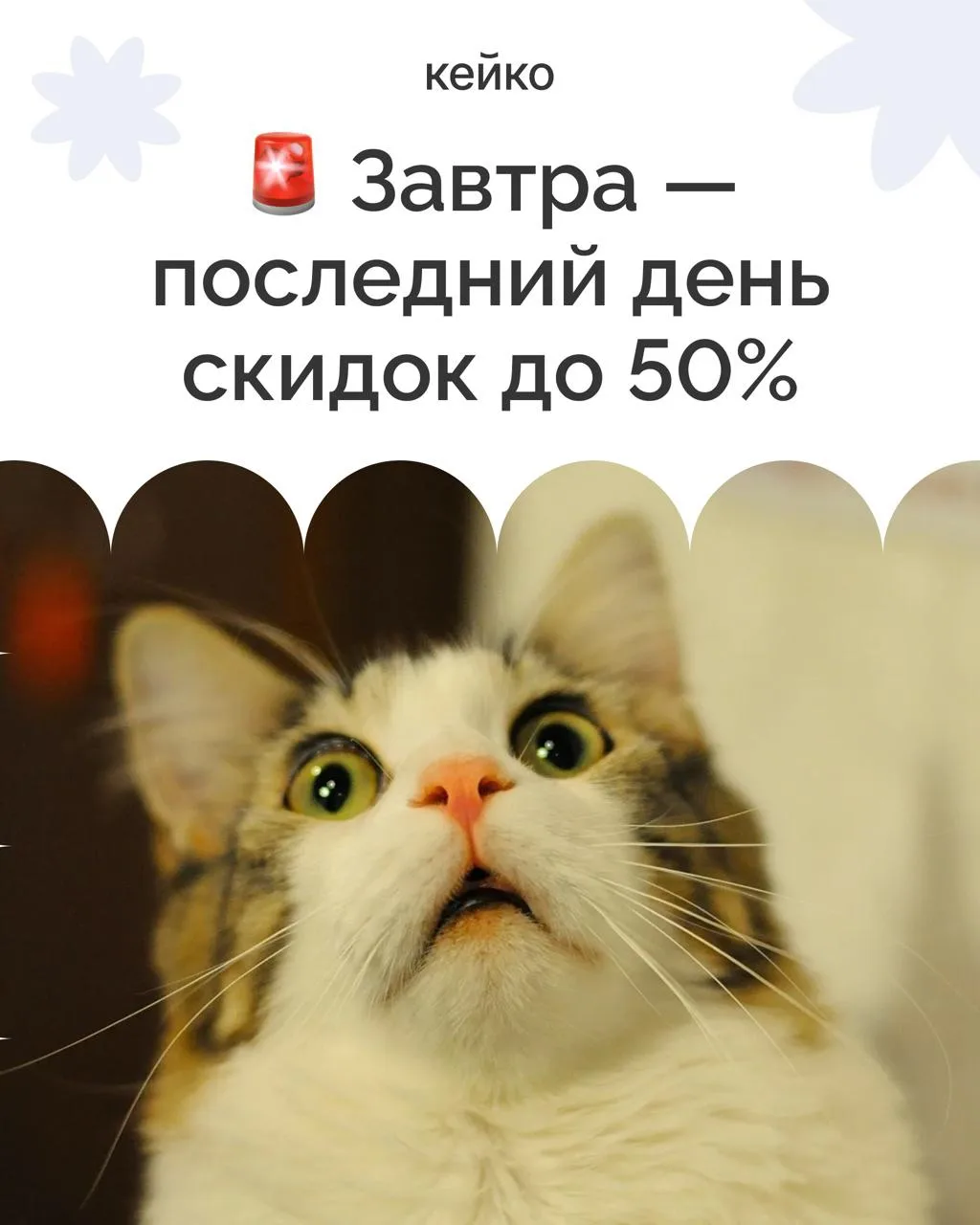 🚨🚨🚨 Завтра — последний день скидок до 50% 🚨🚨🚨