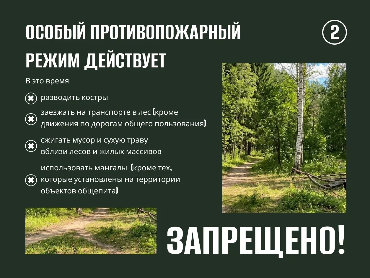 С 15 мая в Саратовской области вводится особый противопожарный режим.