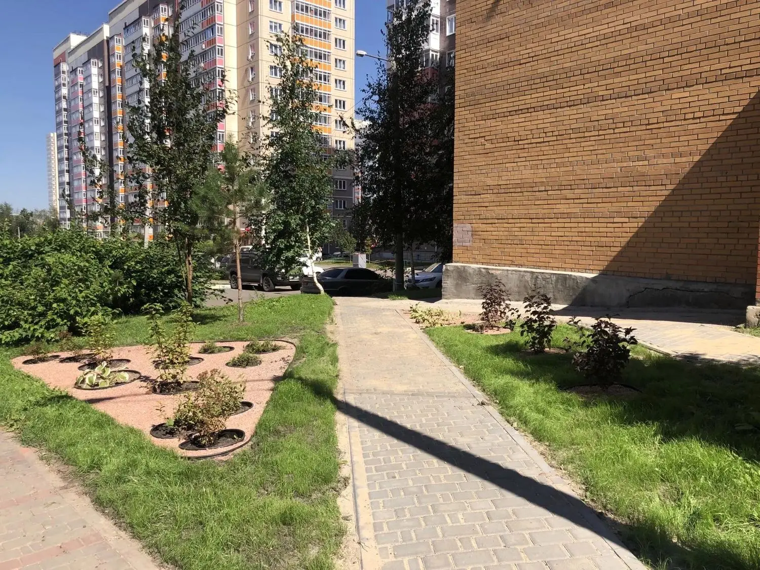 Дворы Центрального района озеленяют в рамках грантового конкурса 🌿