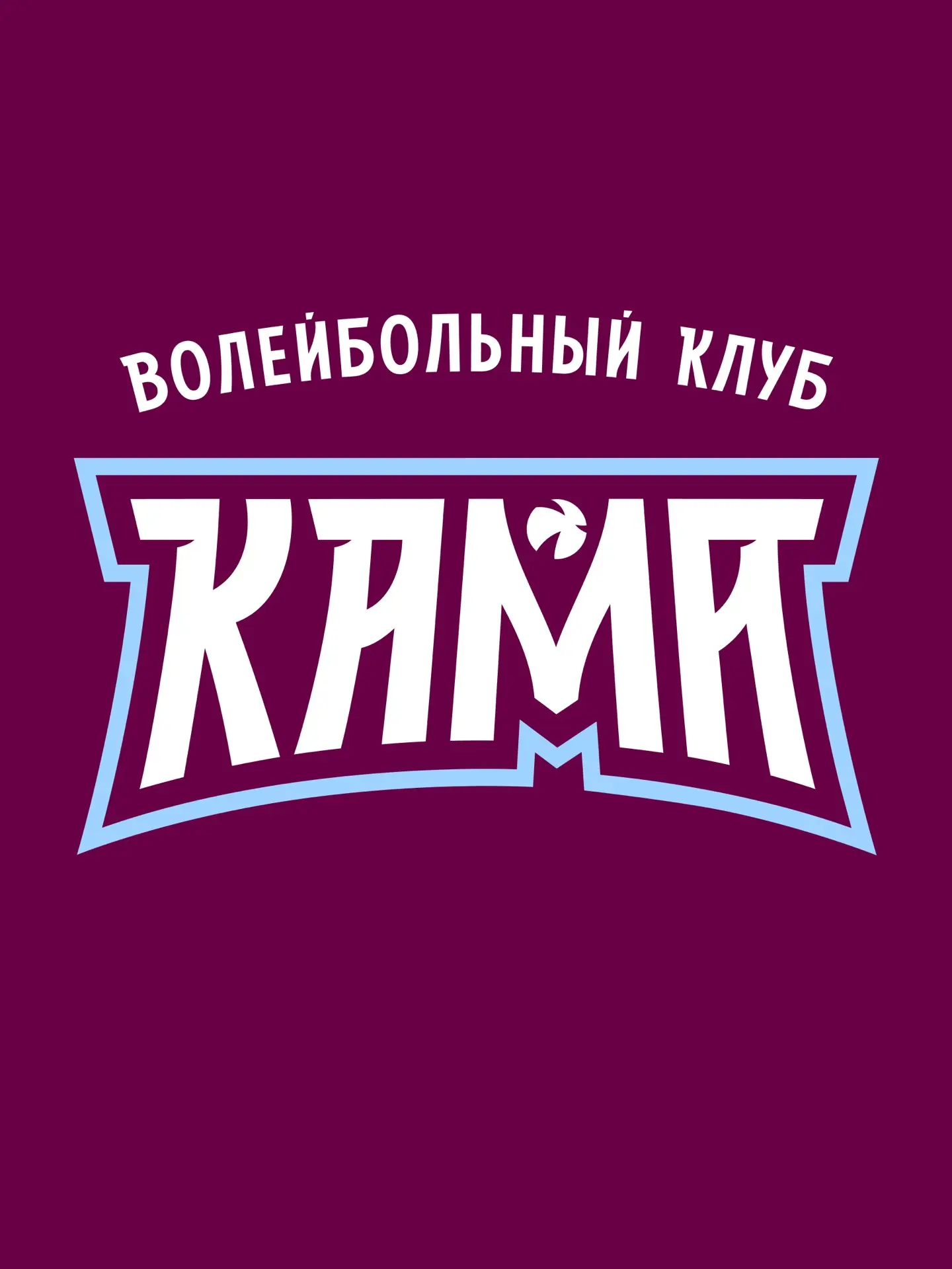 Сегодня мы представляем новый облик волейбольного клуба «Кама».