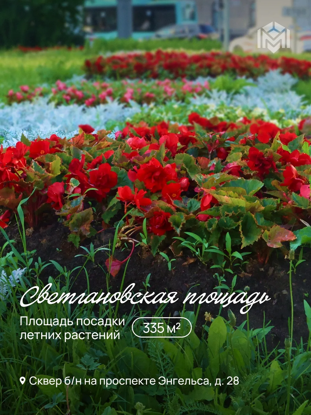 Более 150 тысяч цветов радуют глаз жителей и гостей Выборгского района