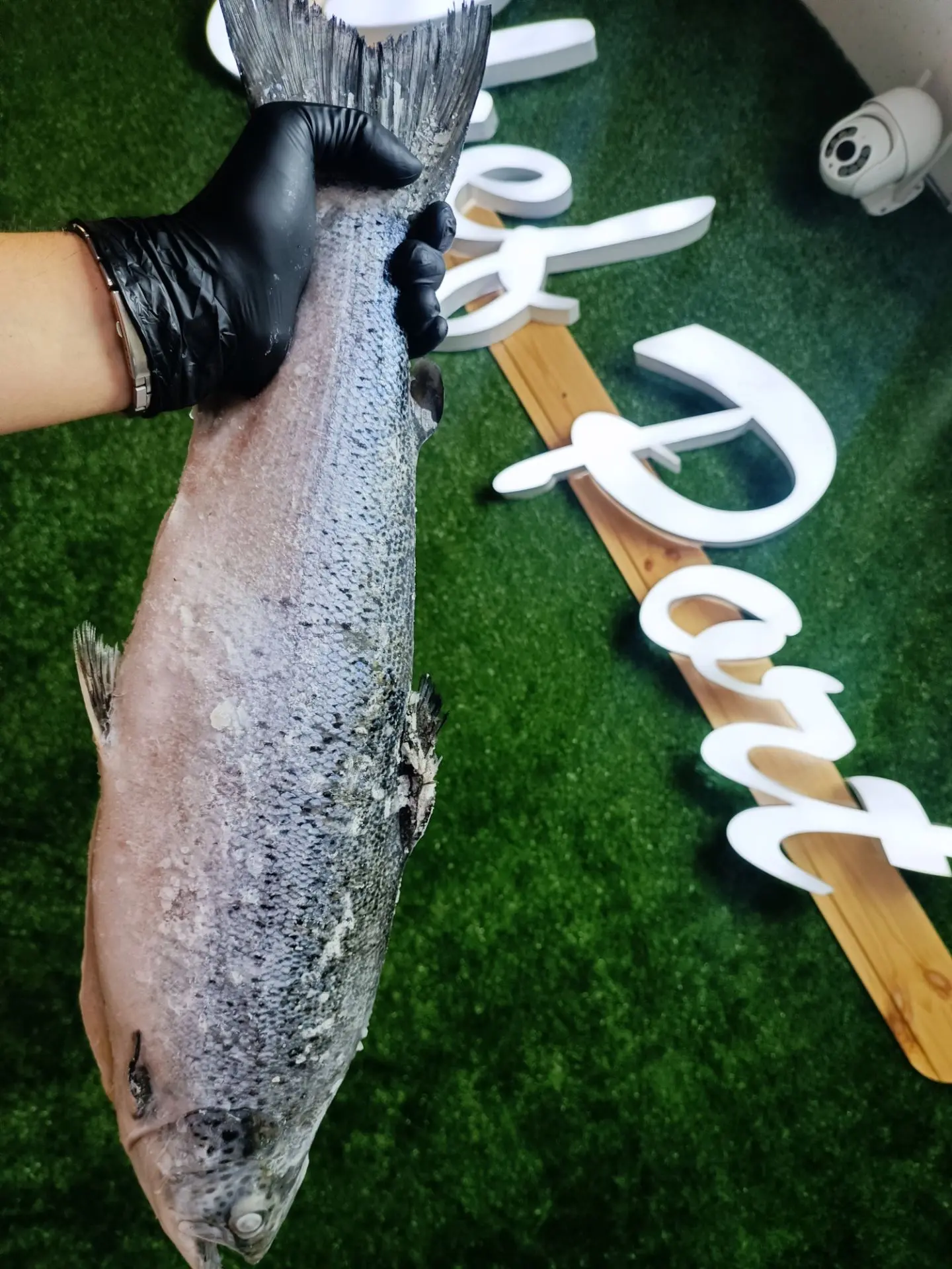 🐟 Семга - она же Лосось Атлантический!