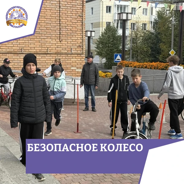 🚴 «Безопасное колесо»: Школа светофорных наук