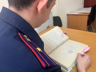 Изображение 1 к публикации «Йошкар-Ола Лайв | Республика Марий Эл»