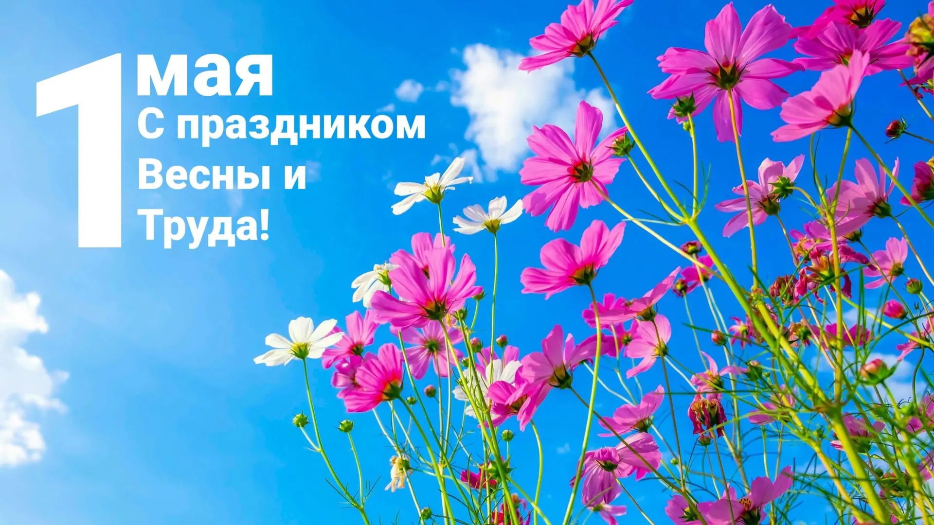 🌼Уважаемые сотрудники, преподаватели и студенты, поздравляем вас с праздником 1 мая — ...