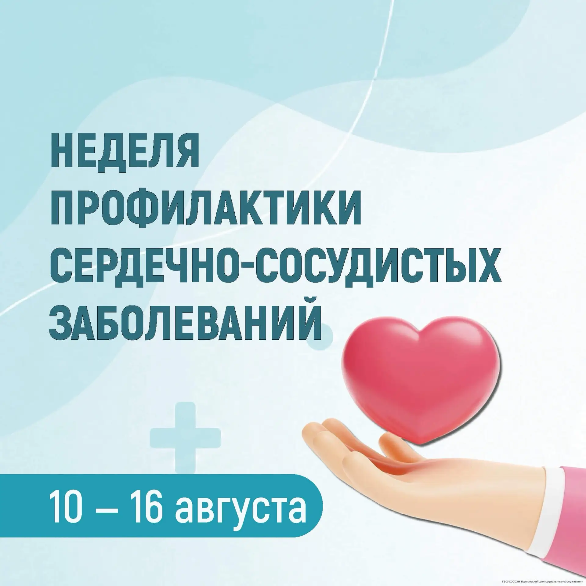 С 10 по 16 августа проходит Неделя профилактики сердечно-сосудистых заболеваний.