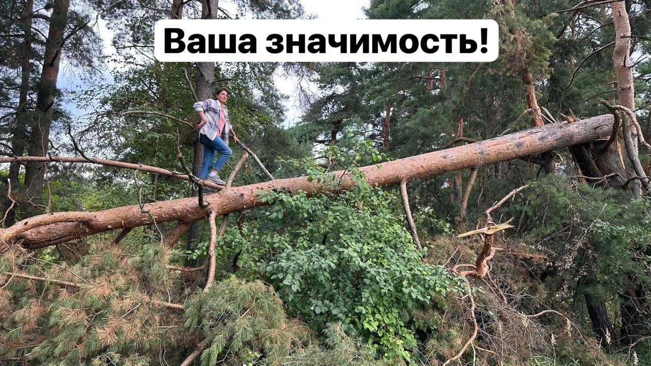 Если вы в услужении у #нарциссы психопаты много лет (чаще с детства), то вам нужна прав...