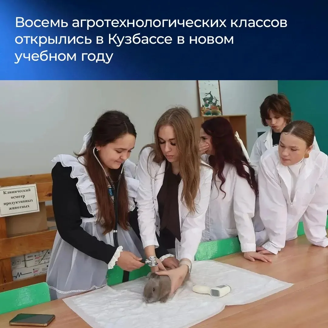 Итоги недели в Кузбассе.