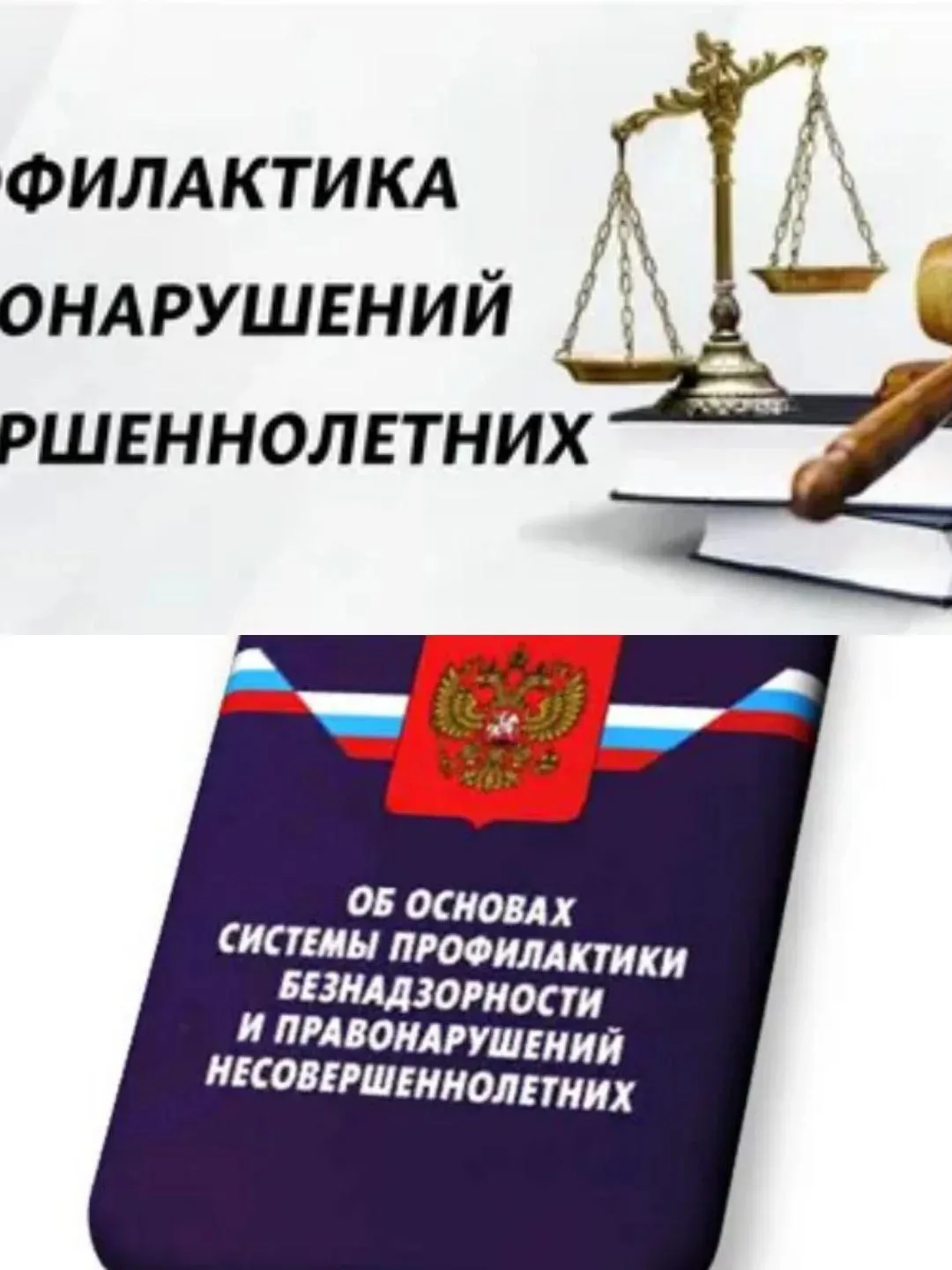 В Богдановской библиотеке-филиале Черниговского муниципального округа провели информаци...