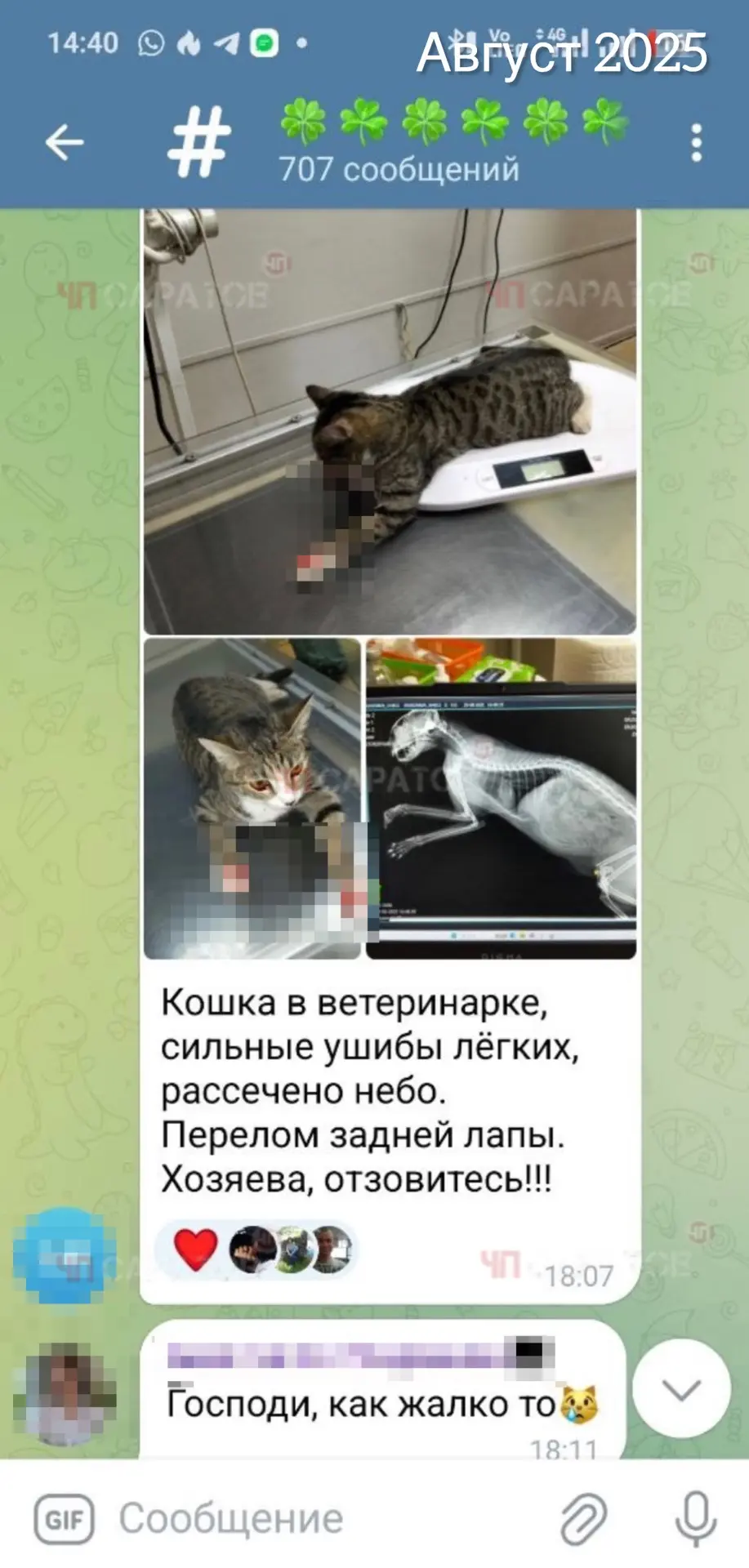 #отчитателя
