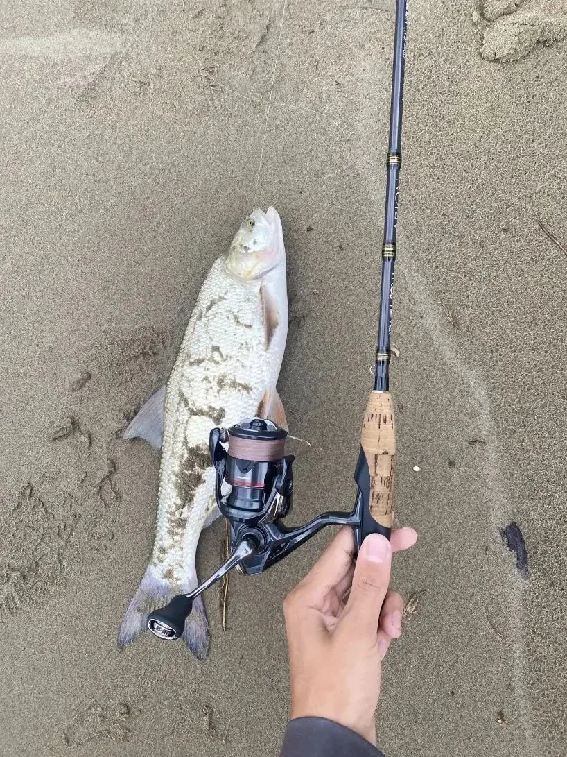 Ну Кубань  порадовала 😁

НАШ ЧАТ 💬

Прислать фотоотчет 📩

Рыбалка Краснодарский край 🎣