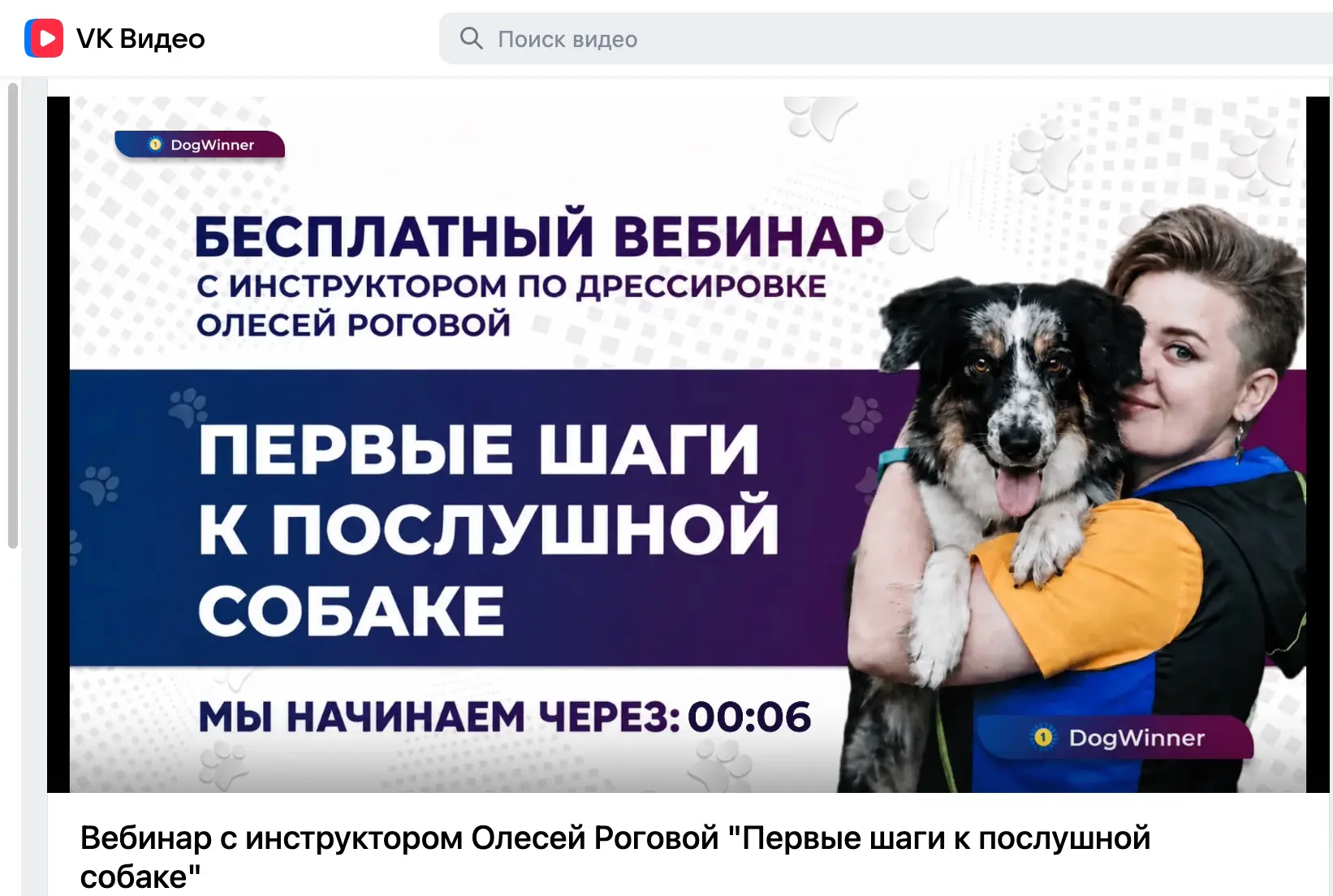 Прямо сейчас проходит эфир вопросов и ответов с инструктором  Воспитательной дрессировк...