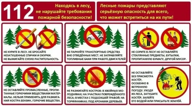 Правила пожарной безопасности в лесах 🌳🌲🔥