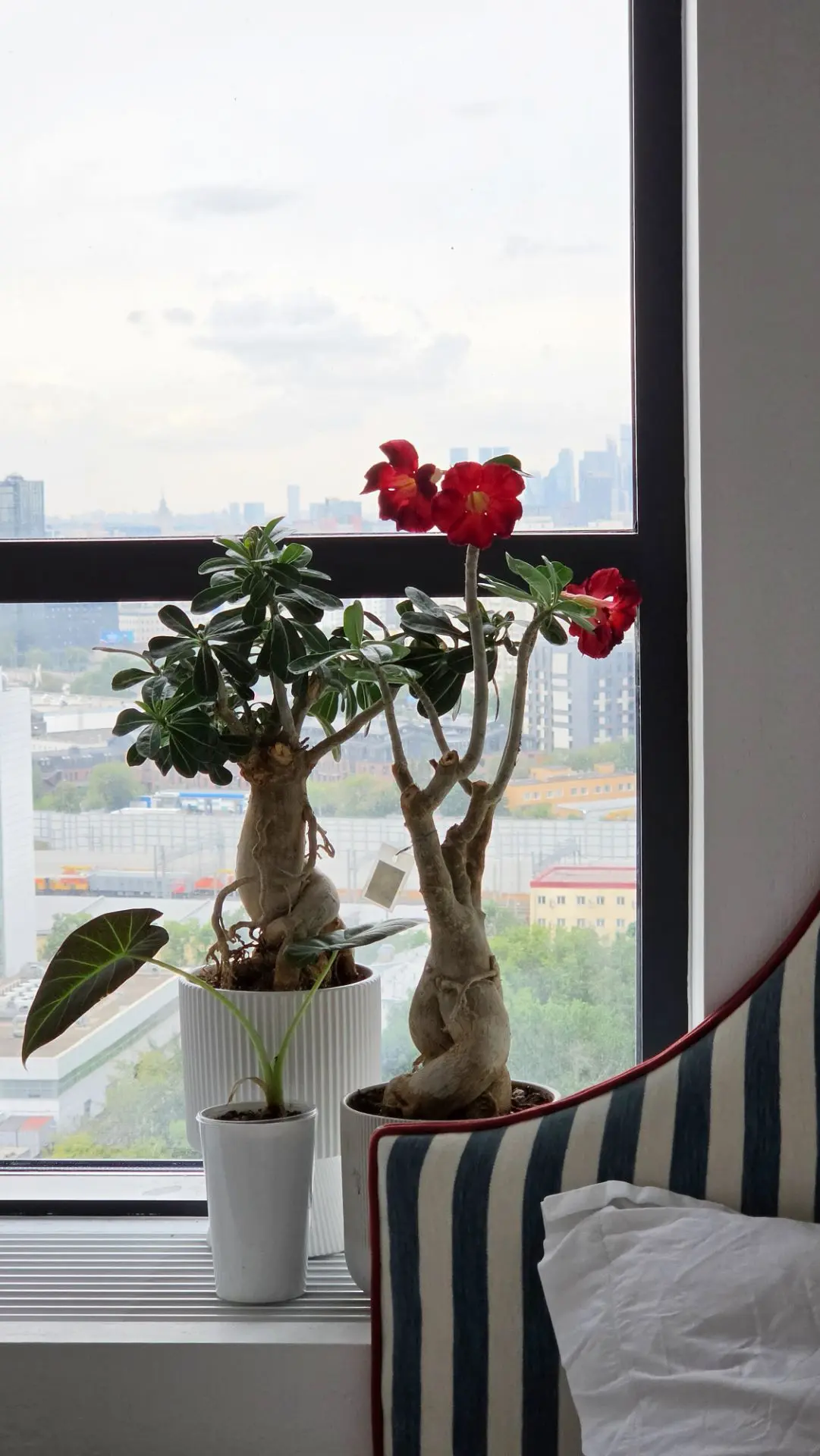 Кстати, всем утро бодрое! И день бодрый тем, кто (навроде Нодежды) не тратил время на с...