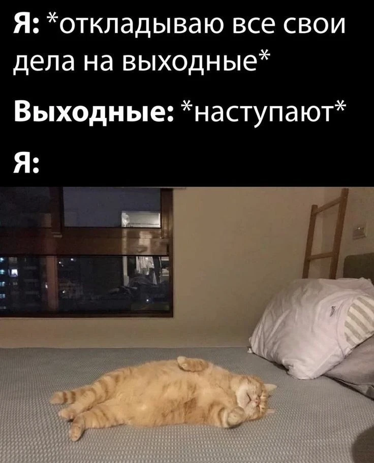 Приятных выходных. Увидимся в понедельник 🌴