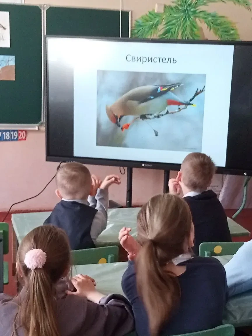 У Орлят нашей школы заканчивается трек "Орленок- Эколог". Наставник детей Алхимова М.В. пригласила н