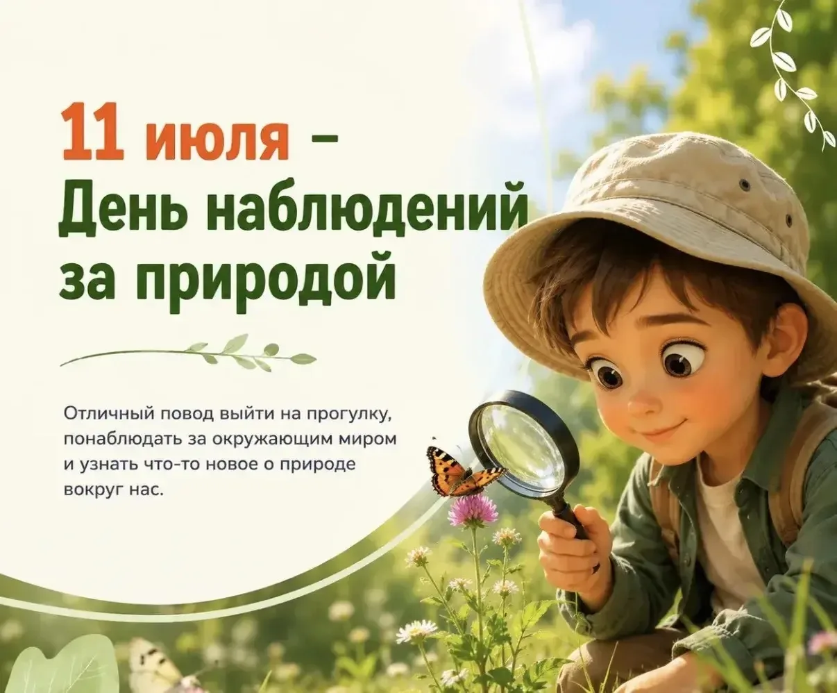 Вот насекомые всем нам знакомые !