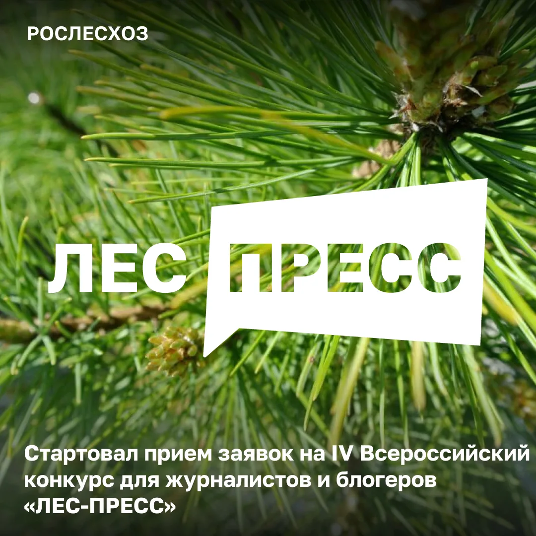 🟢 IV Всероссийский конкурс для журналистов и блогеров «ЛЕС-ПРЕСС» направлен на выявлен...