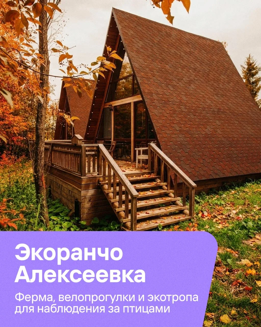 Изображение 2 к публикации «Туту»