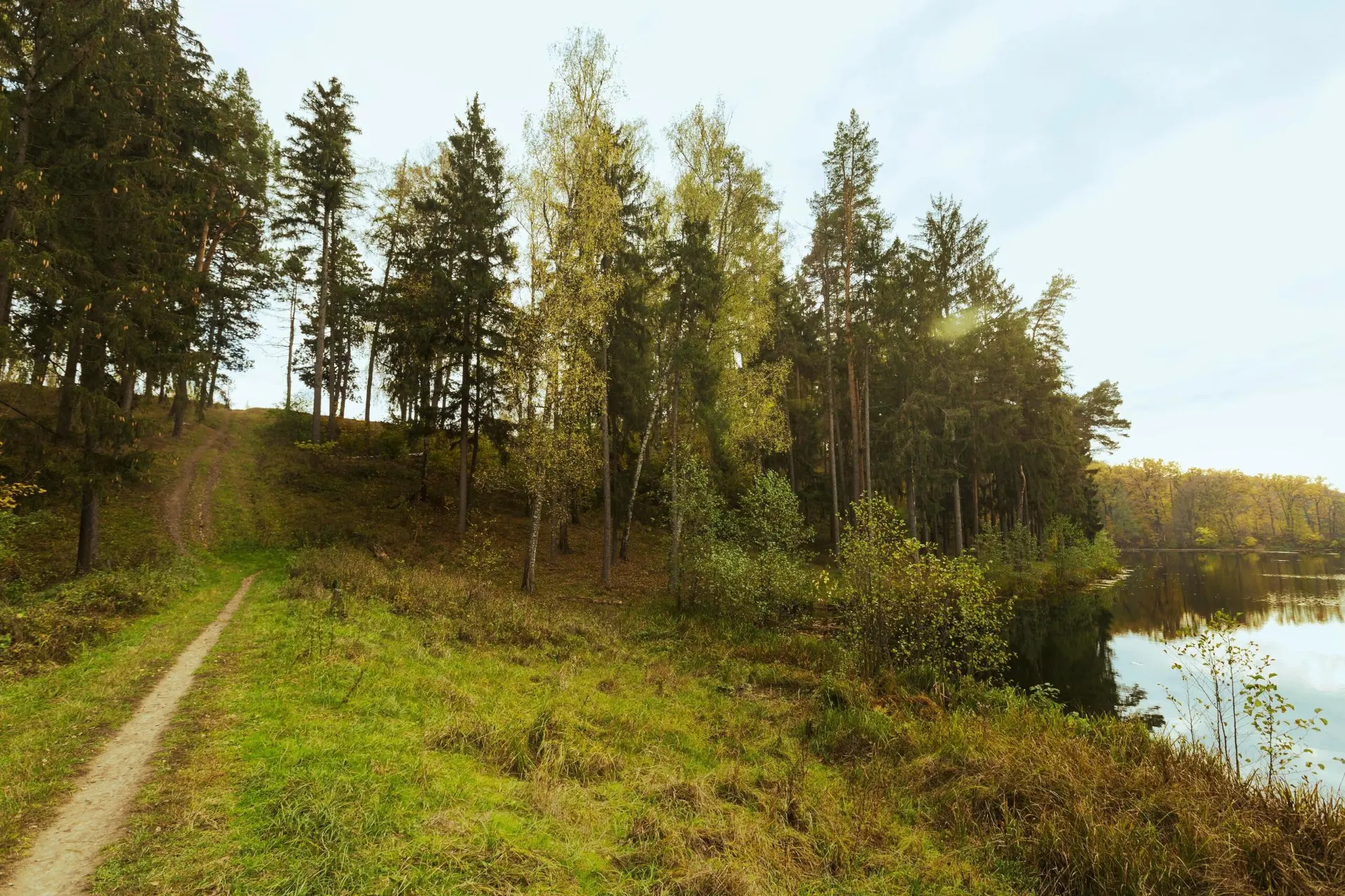 🌳🌲🌿 АКЦИЯ «ЧИСТЫЙ ЛЕС»