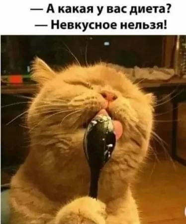 Секреты гармонии — Подписывайся
