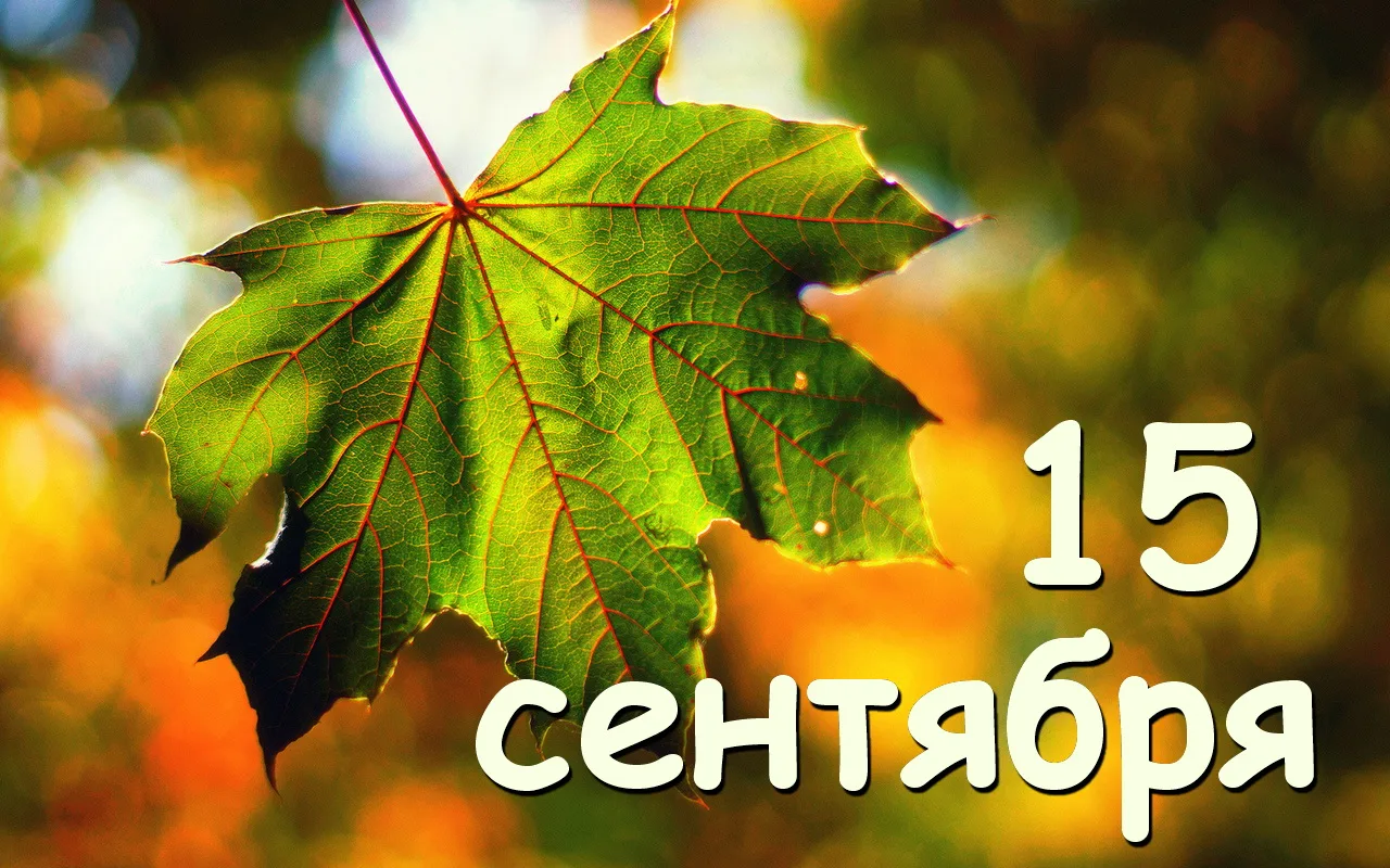 📅 Вторник, 15 сентября. Набираем обороты!