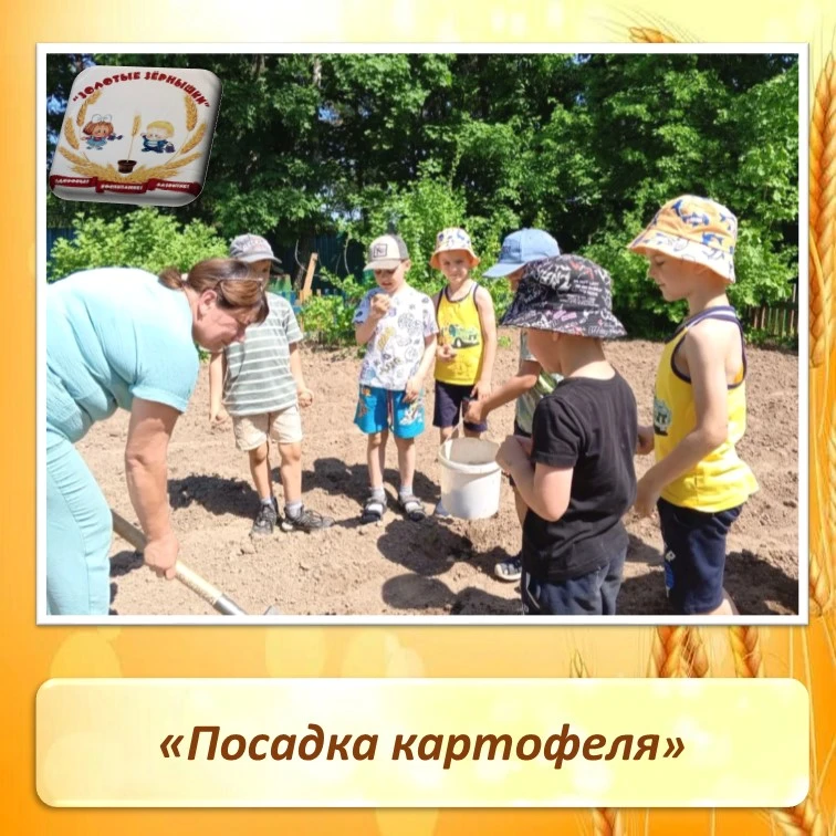 В яркий и солнечный день, ребята подготовительной группы с огромным энтузиазмом, радост...