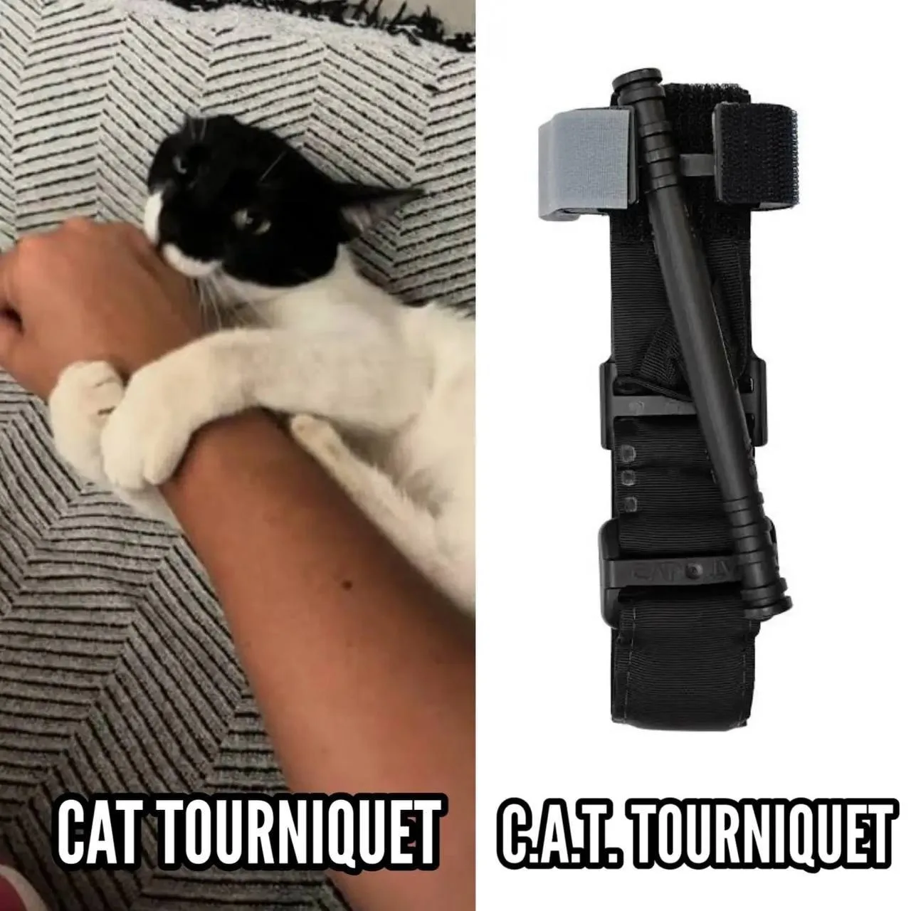 КАТовое🤭