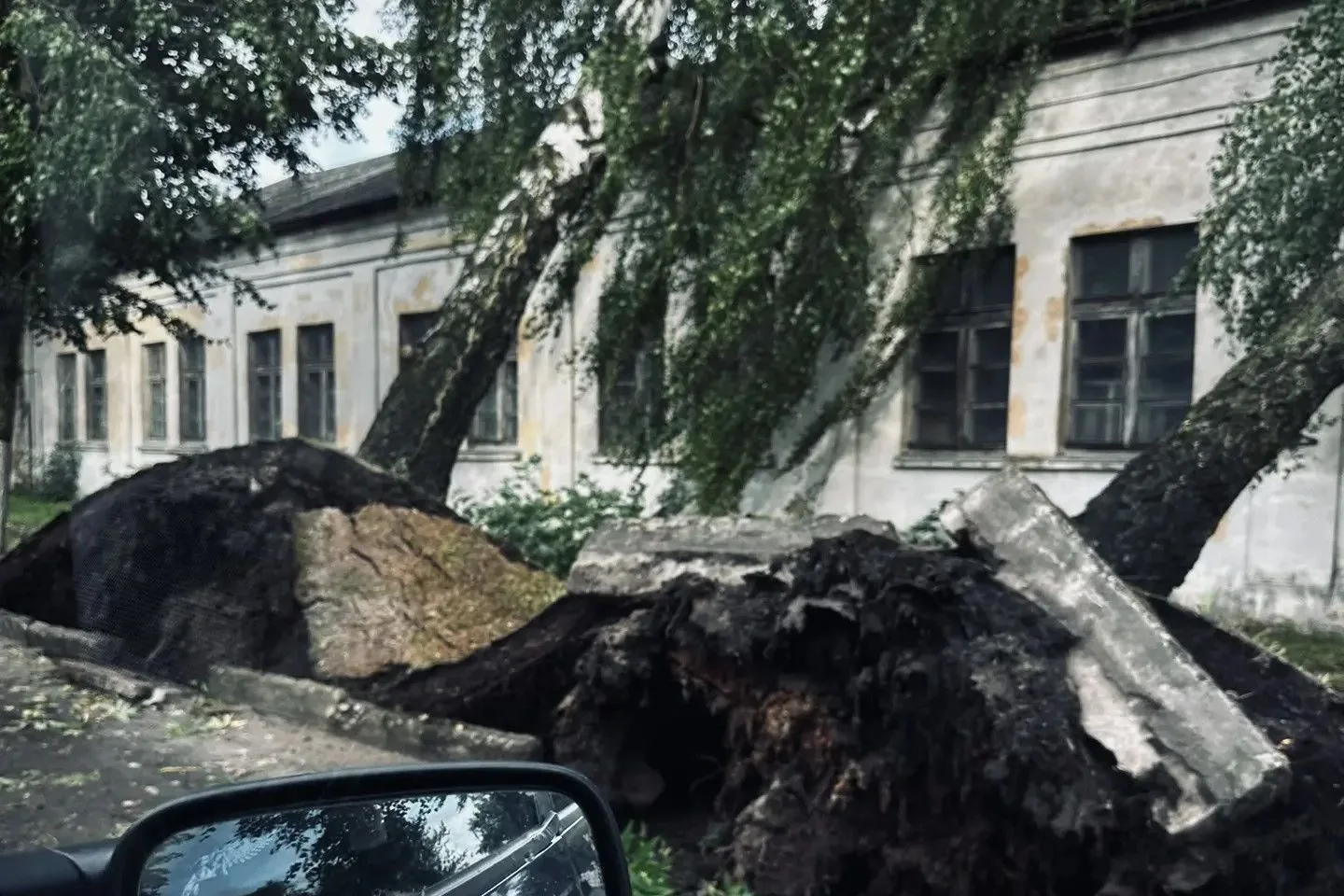 Ночью на Калининградскую область обрушился мощный шторм с ливнями. В Гусевском округе а...