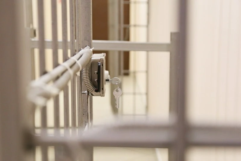 🧑‍⚖ В Рассказовском округе мужчина получил 2,5 года колонии за стрельбу