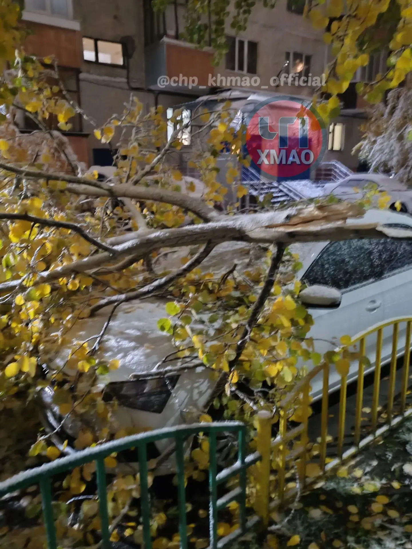 Вот такие последствия первого снега. Фото от нашего подписчика. Надеемся, ущерб не серь...