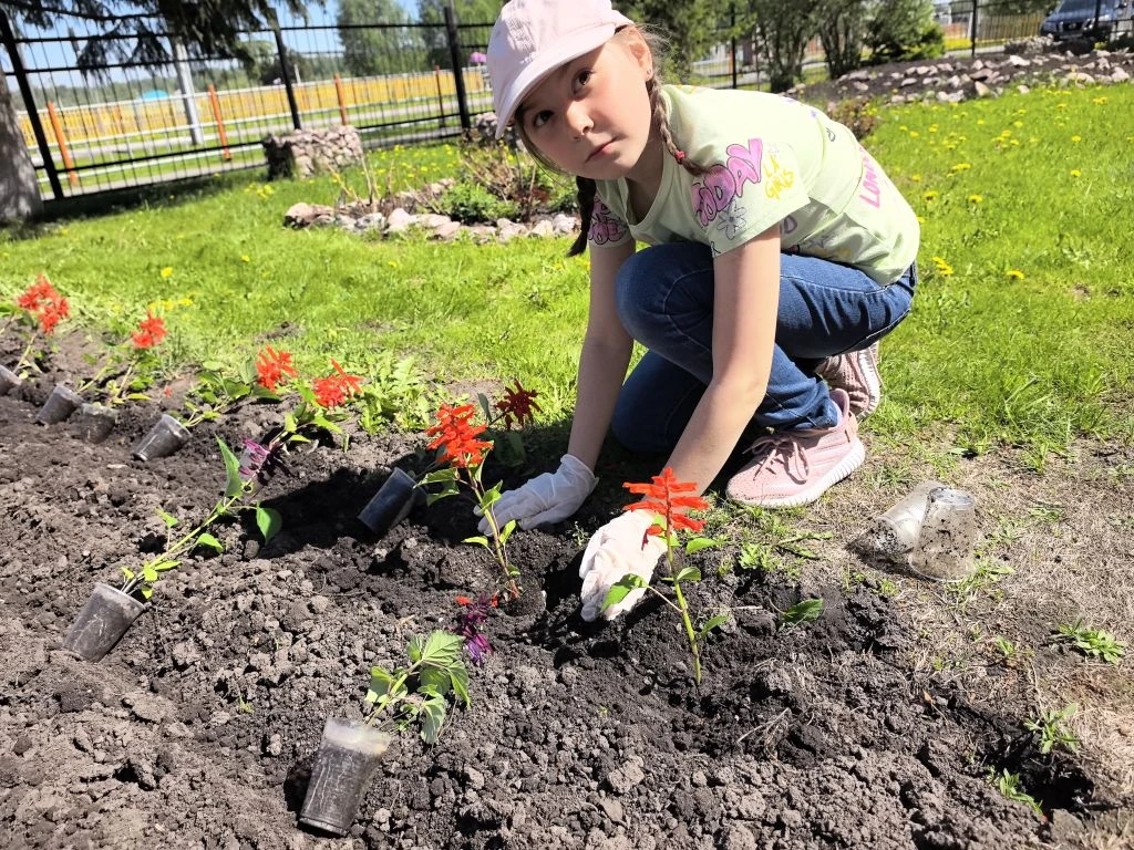 🌱 Четвёртый день лагеря: трудовой десант в действии🌱