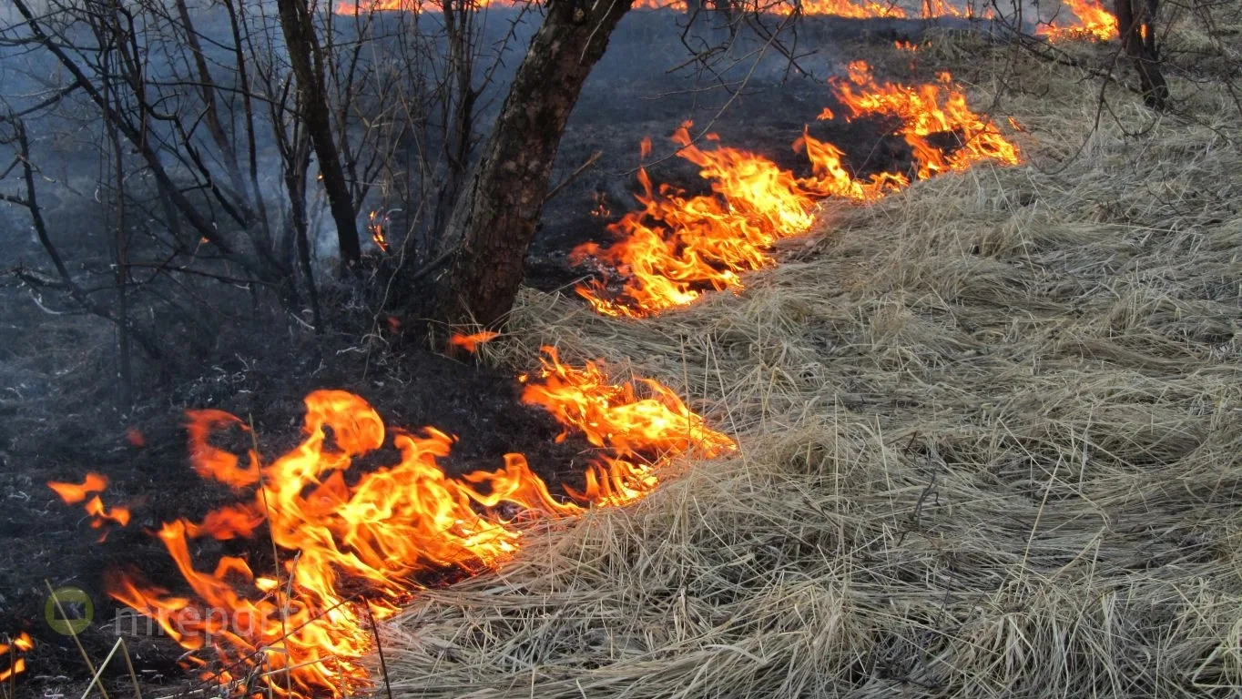 🔥За минувшие сутки в Новгородской области произошло 8 пожаров  🔴2 из них - палы травы. Возгорания за
