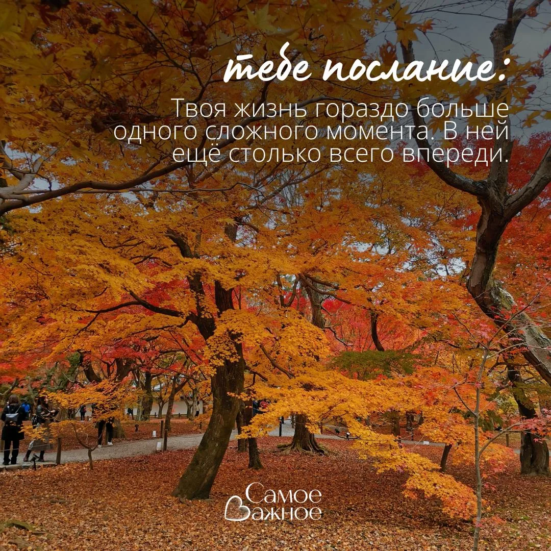 💌Послание поля..