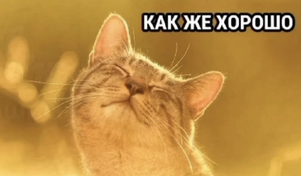 🥵Жара до +30°С накроет Томск до 5 августа

Ожидается аномально жаркая погода с максимальными темпер