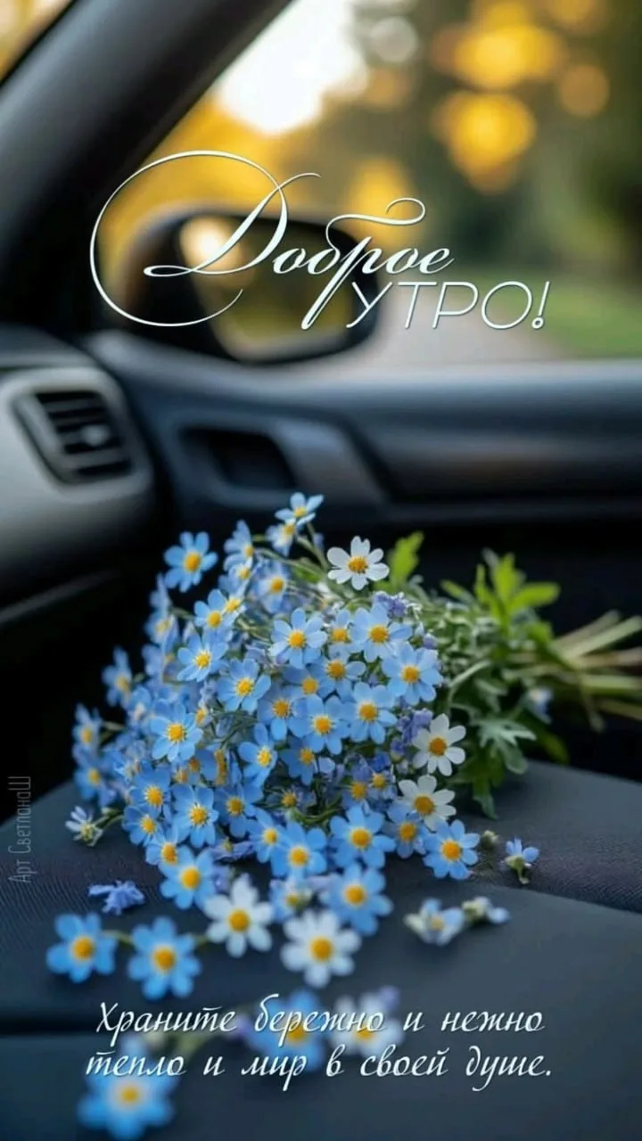 💐 Рассказы | Подписаться 🥀