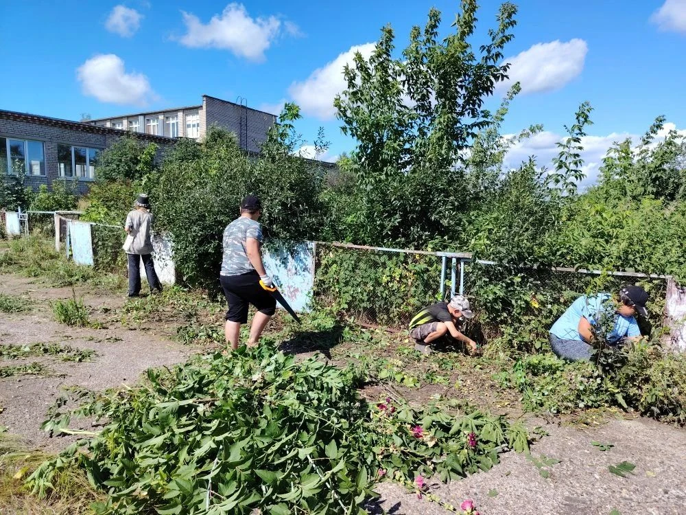 ТОШ готовит школу к приёмке: борьба с сорняками продолжается🍀🌱🌿