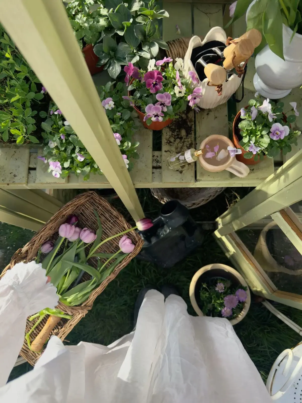 Доброе цветочное утро 🌷