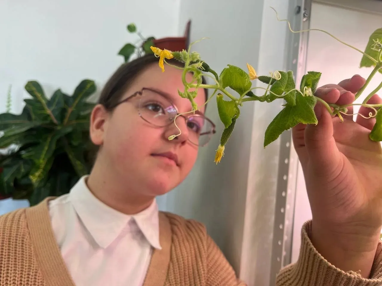 🌱 «Зелёный эксклюзив» за полярным кругом: школьники Ямала стали сити‑фермерами при поддержке ЛУКОЙЛа