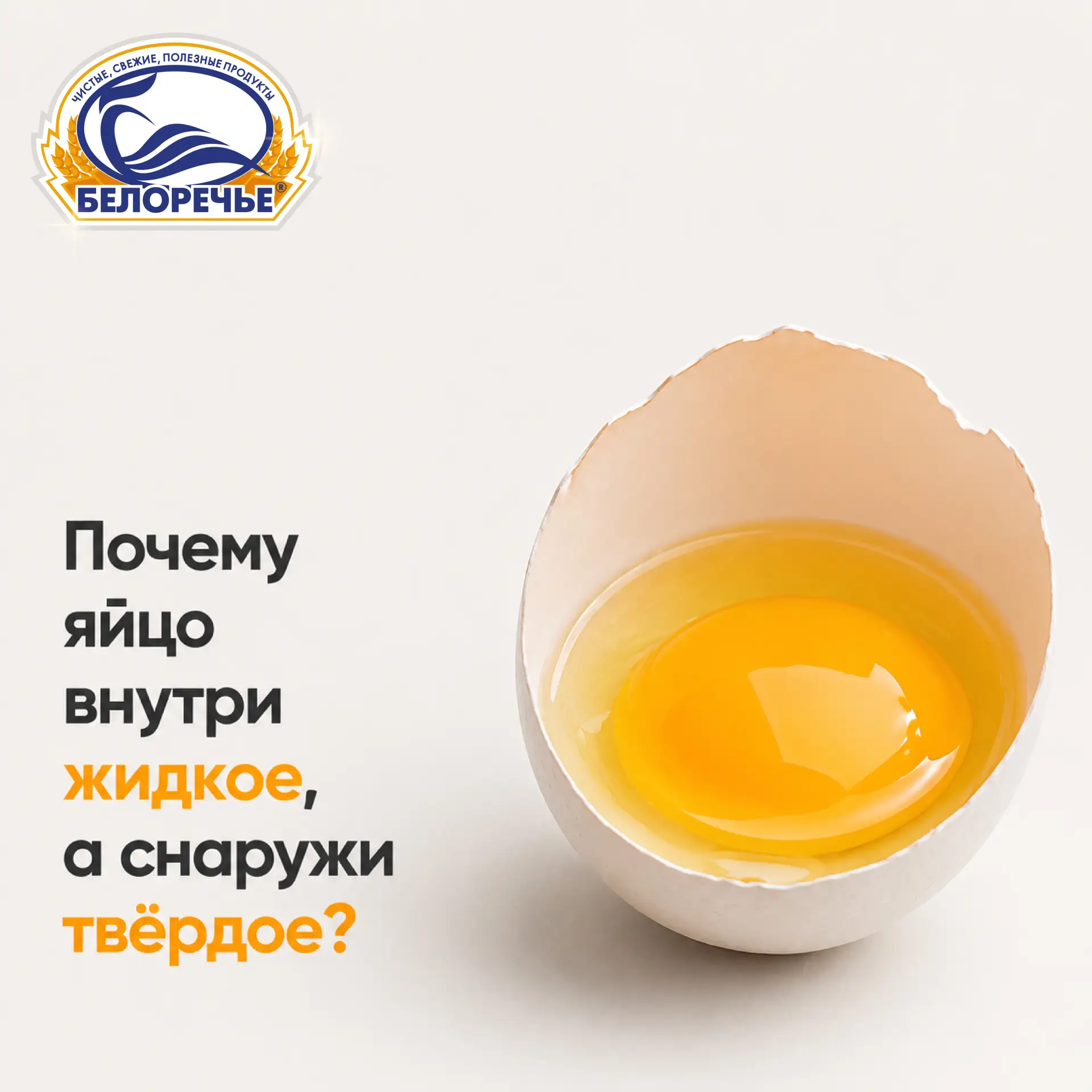 🥚 Почему яйцо внутри жидкое, а снаружи твёрдое? Разгадка от «Белоречья»! ✨