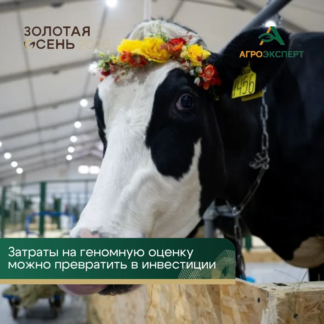 📊 Генетика в животноводстве: затраты предлагают превратить в инвестиции