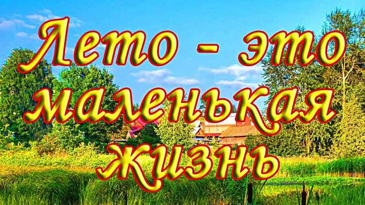 ФЛЕШМОБ «ЛЕТО В ОДНОМ КАДРЕ»