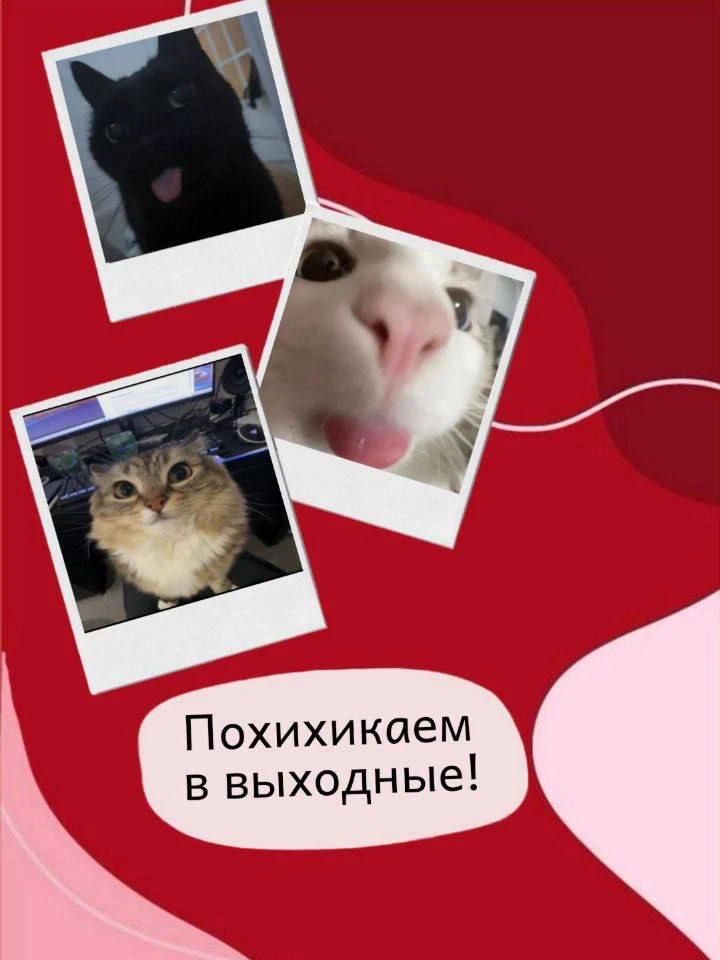 Всем добрый день! С вами рубрика на эти дни «Похихикаем в выходные»! 🤪❤️