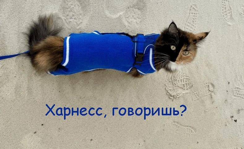 Мой собственный харнесс нарыл баг в моей же реализации Raft. Как так вышло — разбираюсь