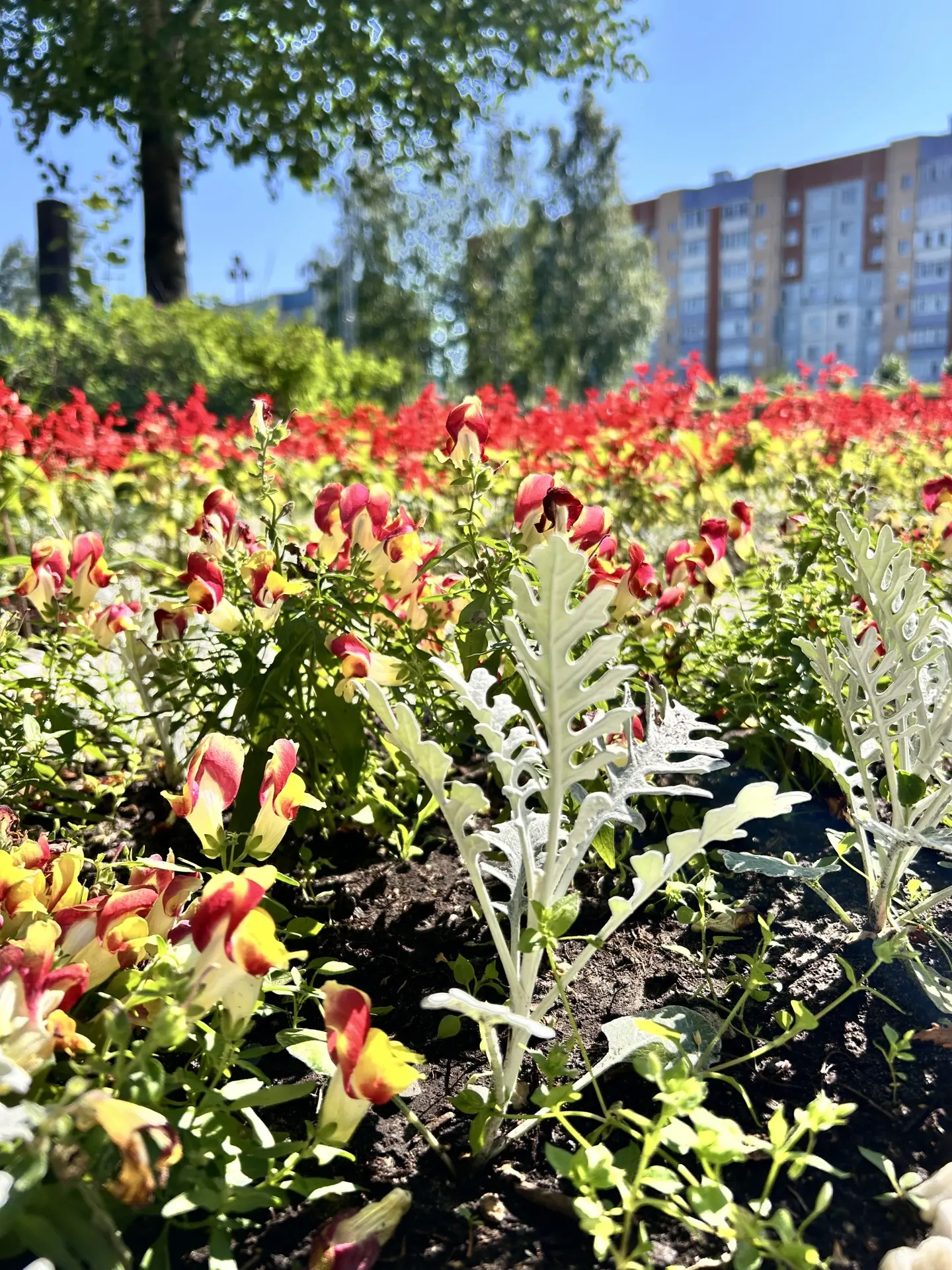 Лето в «Старом Сургуте» 🌞 

#старыйсургут