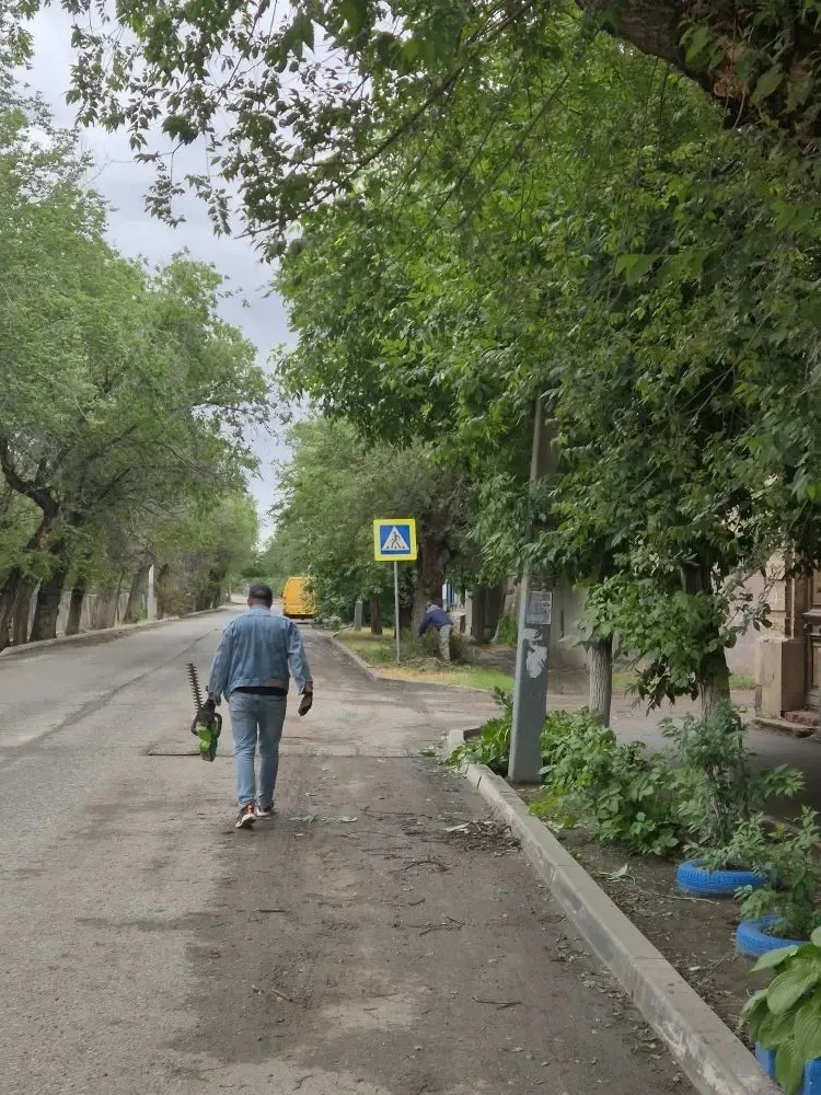 🌳🚦 Обеспечение видимости знаков дорожного движения